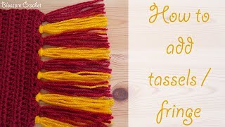 Absolute Beginner Crochet Series Ep 10 How to add tassels  fringe to your projects [upl. by Euk]