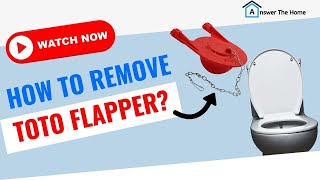 How To Remove Toto Flapper Know The Easiest Way [upl. by Chery]