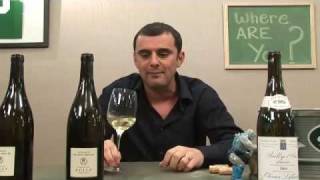 Rully Wines Wines You Should Know From Burgundy [upl. by Eskil]