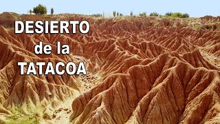 🚩GUIA COMPLETA Desierto de la Tatacoa Colombia  Qué hacer  Neiva Huila✅ [upl. by Ahsekyw]