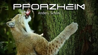 Pforzheim  Anders Schön 6  Wildpark [upl. by Introk]