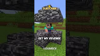 TODAY I FINALLY GET REVENGE ON THE NOOB IN MINECRAFT 🛍️ shorts [upl. by Zela]