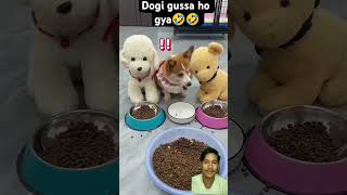 🤣🤣dogie Vira doglovers dogshorts viralshort videoviral 🤣🤣🤣 [upl. by Harak201]