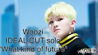 日本語字幕和訳SEVENTEEN세븐틴 Woozi우지 What kind of future어떤 미래 [upl. by Rybma]