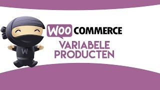 WooCommerce variabele producten toevoegen [upl. by Akeryt]