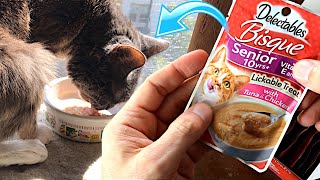 Delectables Lickable Cat Treats Tuna amp Chicken Bisque [upl. by Cissy]