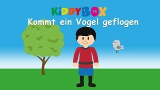 Kommt ein Vogel geflogen  Kinderlieder zum Mitsingen  KIDDYBOXTV [upl. by Stefanac]