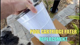 CARTRIDGE FILTER REPLACEMENT UNICEL 9699 JACUZZI CFR 100 FC 1490 C9669 AQUA EZ pool [upl. by Nilya]