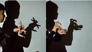 Hand shadow Performance  Amazing video [upl. by Liauqram]