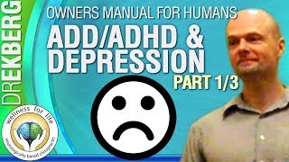 ADD Depression amp Chronic Pain Etc Etc Pt6 13 User Manual 4 Humans [upl. by Auqinom141]