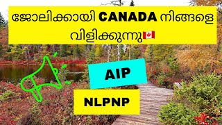 കാനഡയിലേക്ക് വരാൻ ആഗ്രഹിക്കുന്നവർക്കു Virtual Job Fair  Newfoundland NLPNP amp AIP  Canada Malayalam [upl. by Frodine236]