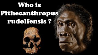 Who is Pithecanthropus rudolfensis [upl. by Mercy]