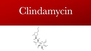 Clindamycin Cleocin Clindamax  Lincosamide antibiotic  Clindamycin antibiotic [upl. by Assilem]