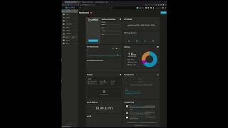 qBittorrent with VPN on TrueNAS Scale [upl. by Ellevart]