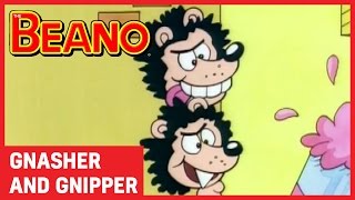 Gnasher and Gnipper  Best Bits  Beano All Stars [upl. by Uni]