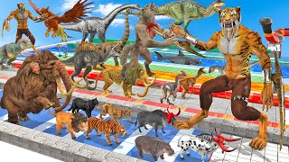 Death Run Who Will Win the Fight Dinosaurs vs Animals vs Saber Tooth Tiger Speed Race Zigzag Course [upl. by Asirehc]