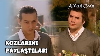 Selim Ve Toygar Ayşegül İçin Yine Kavga Ettiler  Acemi Cadı Özel Klip [upl. by Dranyar577]