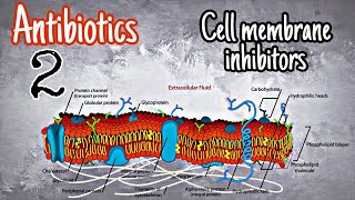 Antibiotics 2  polymyxins [upl. by Aicekal]