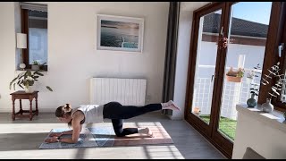 Prenatal Pilates 9  Flowy 22 Minute Class [upl. by Rise]