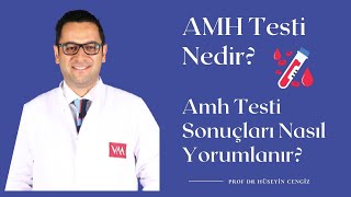 AMH Anti Müllerian Hormonu Nedir AMH⌛️ neden önemlidir kaç olmalıdırYumurtalık rezervi nedir [upl. by Anikahs]