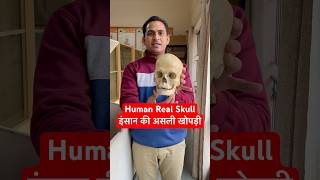 Human Real Skull  इंसान की असली खोपड़ी कैसी होती है viral trending shorts youtubeshorts shots [upl. by Ekrub485]