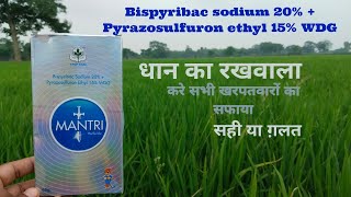 Bispyribac sodium 20  Pyrazosulfuron ethyl 15 WDG  herbicide in paddy cropsdhaan ki fasal [upl. by Anaitsirk]