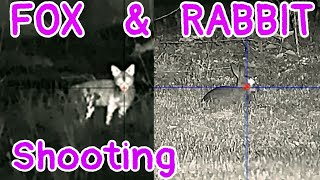 Rabbits amp Foxes  Alpex 4K NightVision  223 rifle shooting [upl. by Mathur]