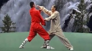 Kung Fu 36 fight techniques [upl. by Atilrahc]