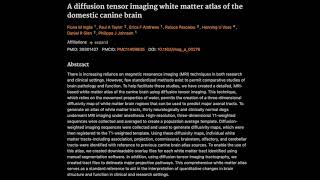 A diffusion tensor imaging white matter atlas of the domestic canine brain [upl. by Heathcote]