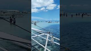 Virgin island Bohol bohol travel [upl. by Ziza]