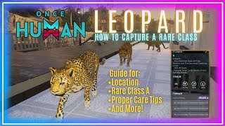 LEOPARD  Once Human Guide [upl. by Brunhilda]