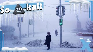 Wie machen die das alles bei 71°C in Jakutsk  Exidus REAGIERT [upl. by Ailuig39]