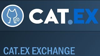 Обзор Проекта Catex Token CATT [upl. by Ahab]