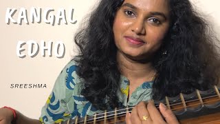 Kangal Edho  Sreeshma  Veena cover  trending [upl. by Rednaxela666]