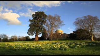 Meditacion Guiada 1  Cambio  Sabiduria de Dadi Janki  Brahma Kumaris [upl. by Ragen972]