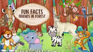 Friends in Forest storytime storyforchildrens lifelessons bedtimestories fairytales kids [upl. by Atteve]