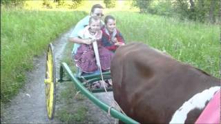 With Grandma by Ox Cart [upl. by Whorton]