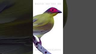 DIGITAL ART DAY 180 Australasian Figbird artoftheday digitalillustrationart digitalart [upl. by Roehm]