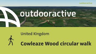 Cowleaze Wood circular walk [upl. by Hamann]