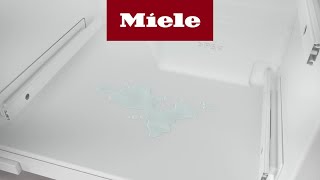 Comment nettoyer le conduit d’évacuation de l’eau de dégivrage de votre appareil de froid Miele [upl. by Savior]