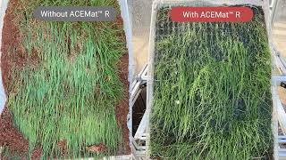 Why Choose ACEMat™ R High Performance Turf Reinforcement Mat to Control Erosion [upl. by Siegel]