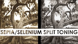 How To Split Toning SepiaSelenium [upl. by Ycnaf750]