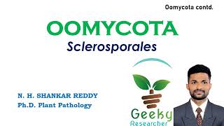 Lec 22 Oomycota  Sclerosporales  Mycology  Plant Pathology  BScMSc Agriculture [upl. by Ateloiv]