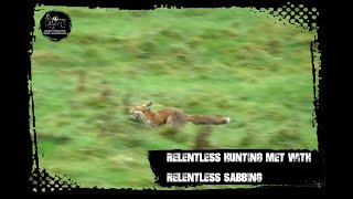 Relentless hunting met with relentless sabbing [upl. by Gnilhsa785]