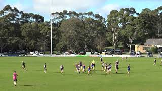 Berwick Vs Surrey Park Womens Qtr 1 [upl. by Hakkeber]