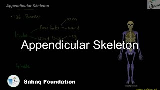 Appendicular Skeleton Biology Lecture  Sabaqpk [upl. by Eitten808]