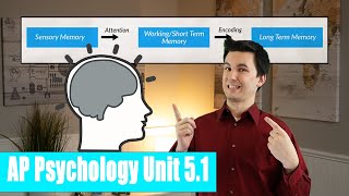 Introduction to Memory AP Psychology Unit 5 Topic 1 51 [upl. by Hedaza]