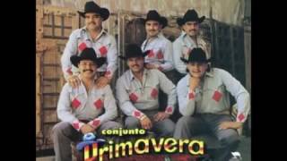 Conjunto Primavera Disco completo Amor y dolor norteño 1996 [upl. by Ydna1]