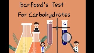 Barfoeds Test for Carbohydrates Biochemistry practicals for 1st year MBBS [upl. by Anod411]