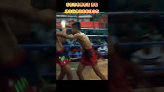 Mighty Combat Lethwei  KO Highlights shorts lethwei KO [upl. by Oisorbma655]